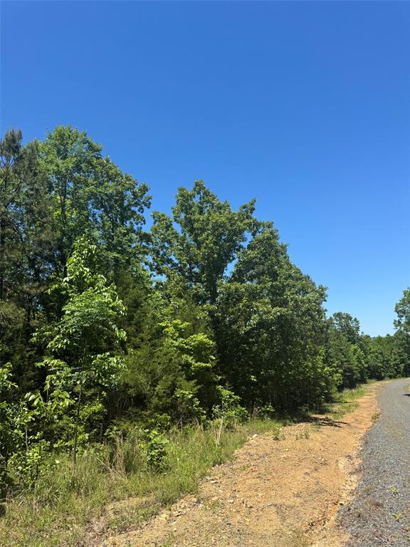 60 Vista Ridge Trail