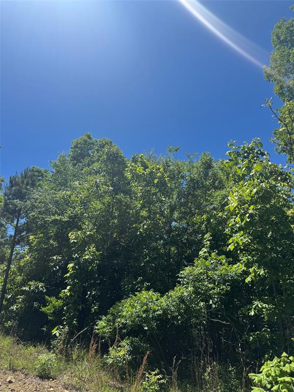 60 Vista Ridge Trail