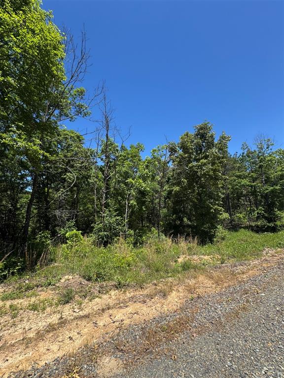 61 Vista Ridge Trail
