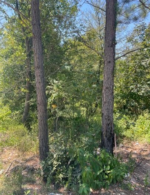 205 Bear Cedar Trail
