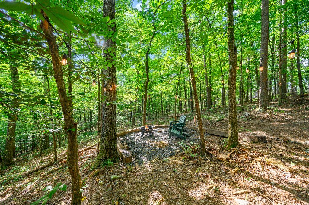 122 Sherwood Forest Lane