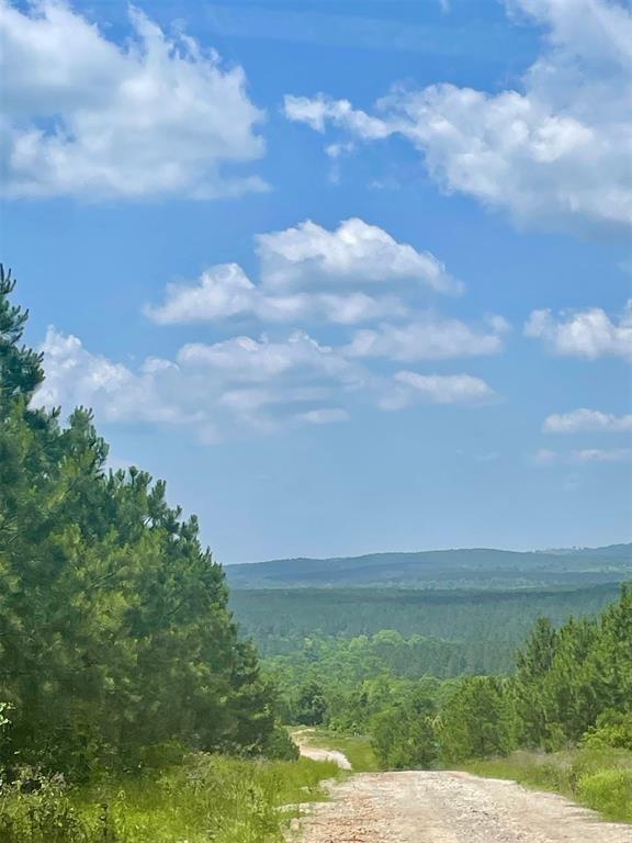 75 Sliding Hill Trail