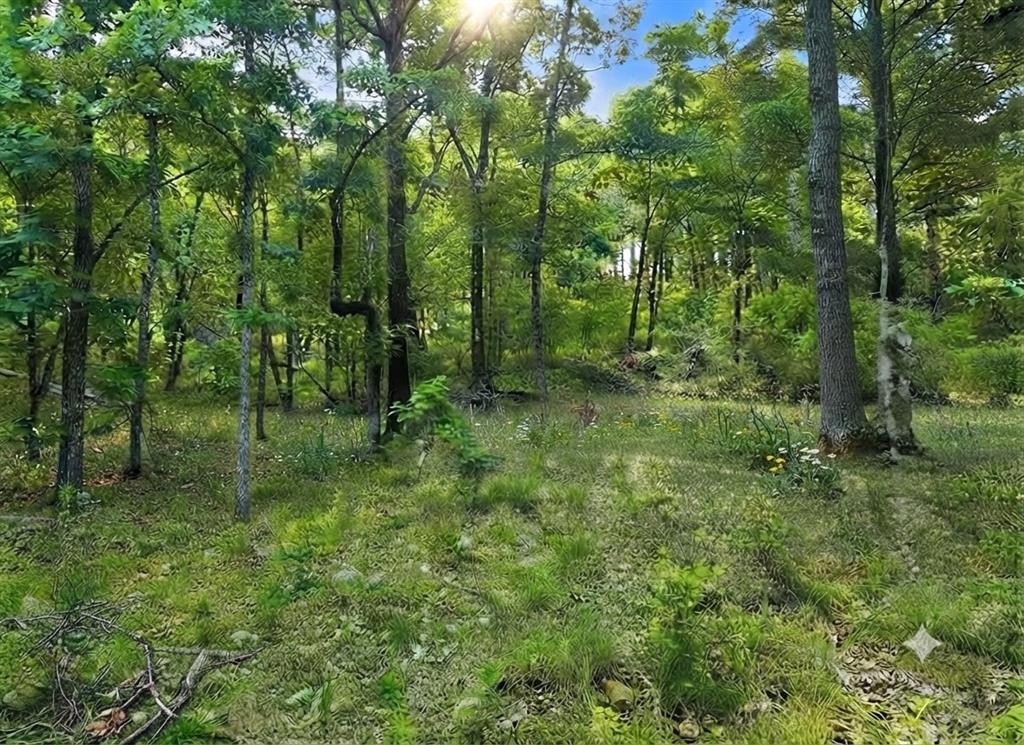 143 Western Cedar Trail