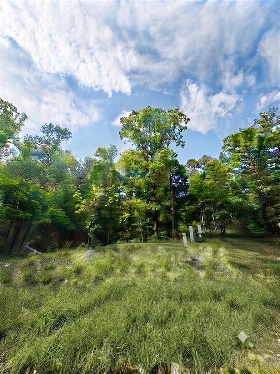 143 Western Cedar Trail