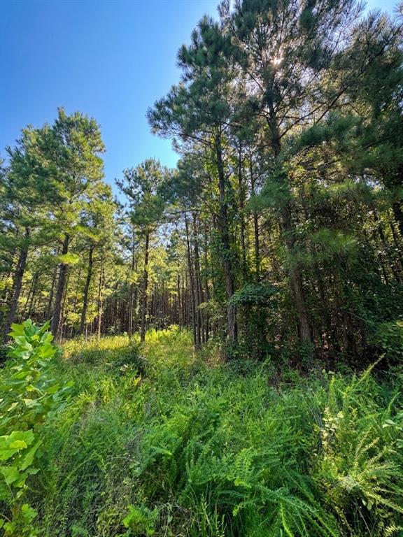470 Creek Side Trail