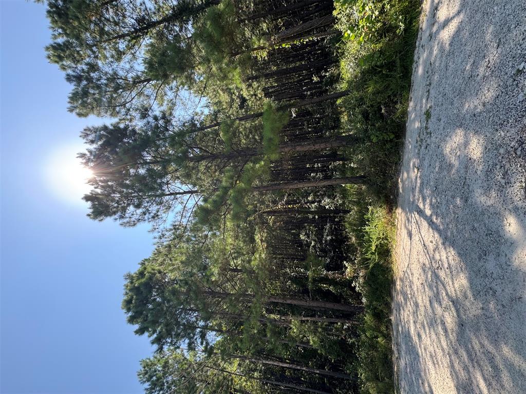 41 Creek Side Trail