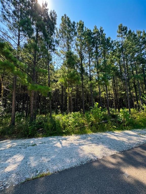 41 Creek Side Trail