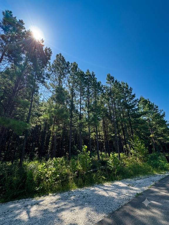 41 Creek Side Trail