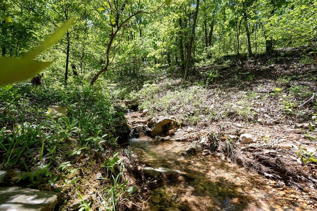 49 Rock Branch Trail