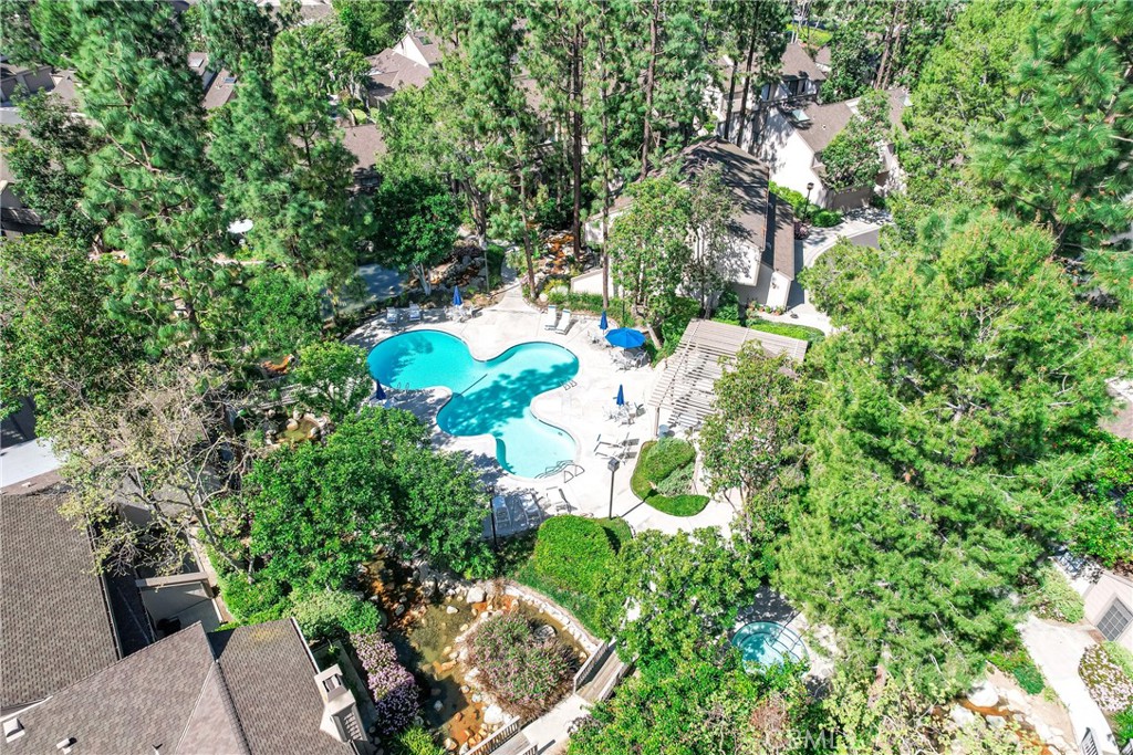 1733 Clear Springs Drive 66