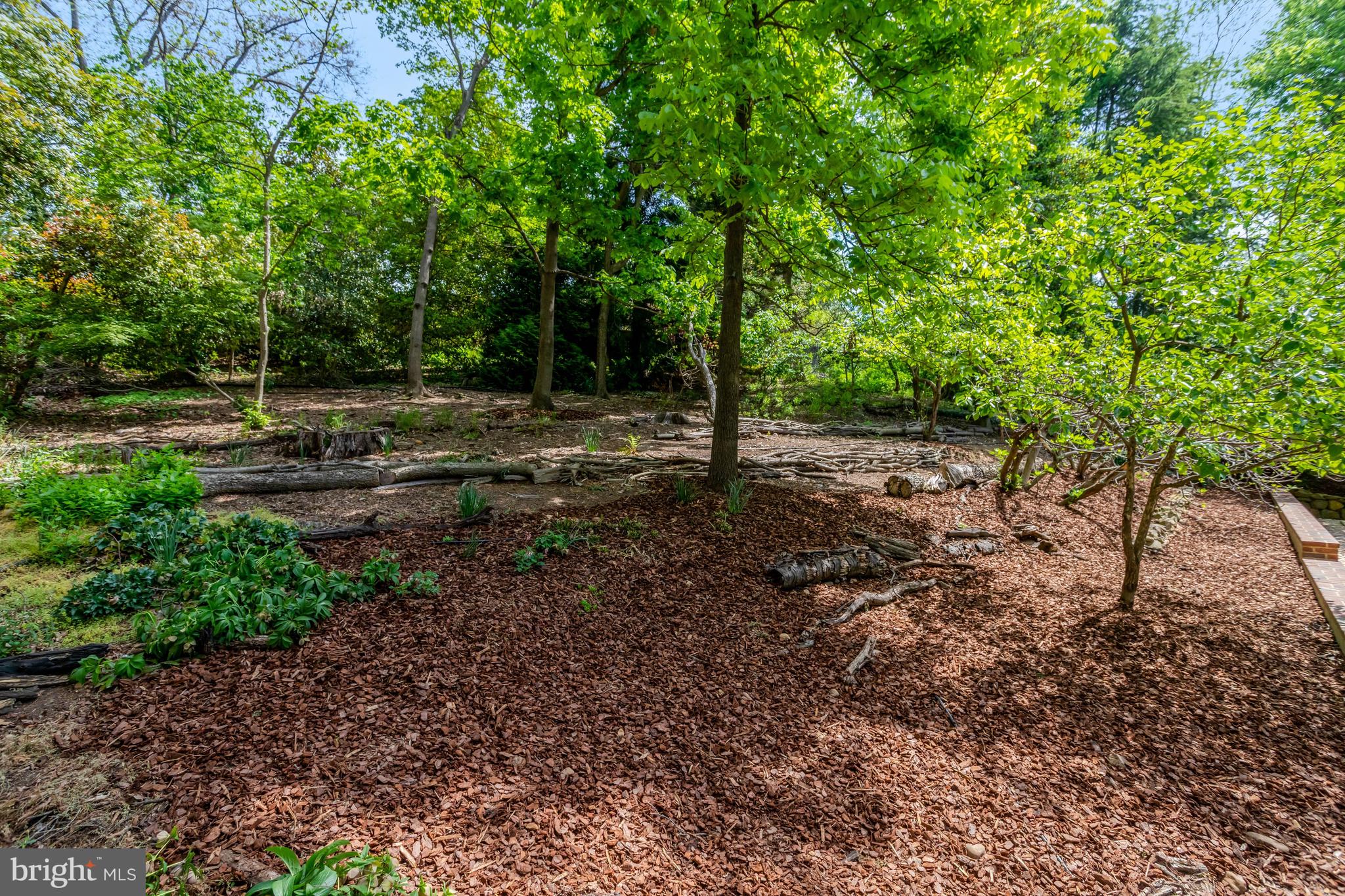 7413 Rebecca Dr