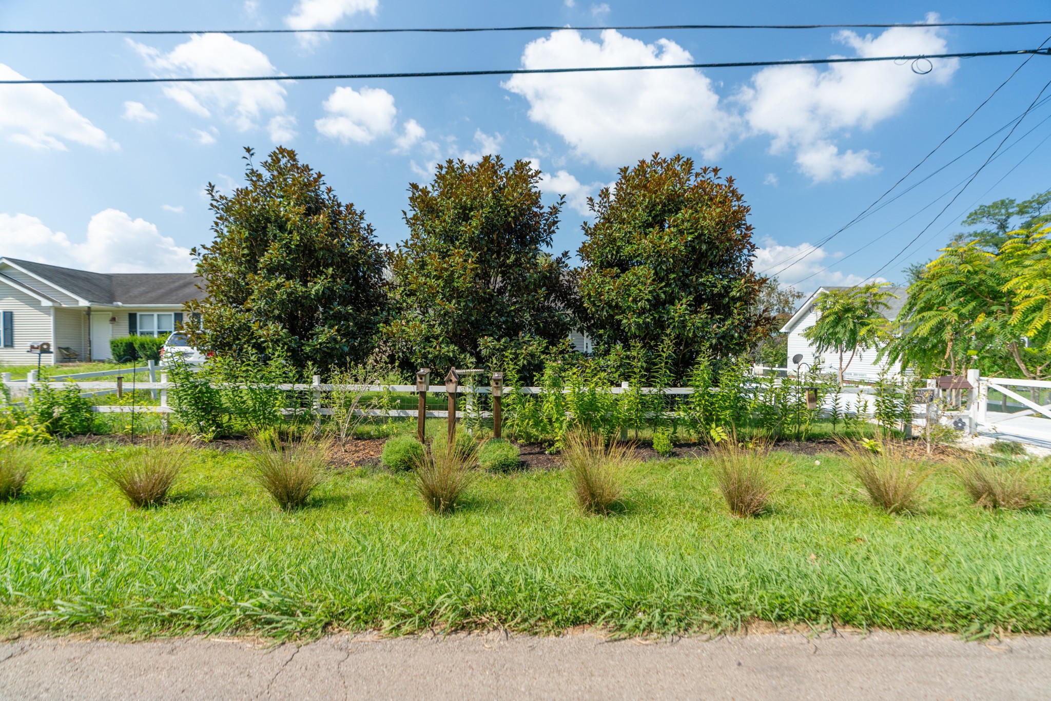 Landscaped front yard with mature trees, ornamental grasses, birdhouses, and a white fence.