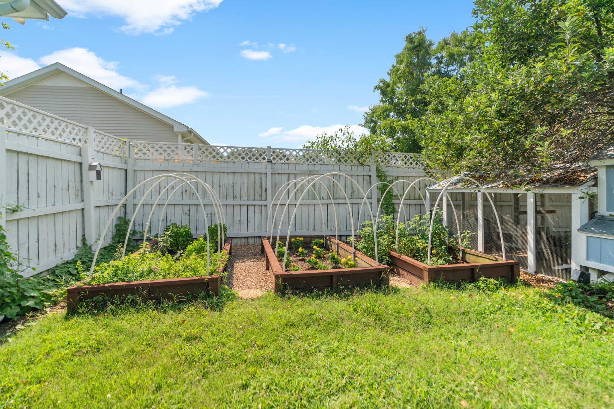Backyard garden with raised beds, curved garden hoops, and a white privacy fence.