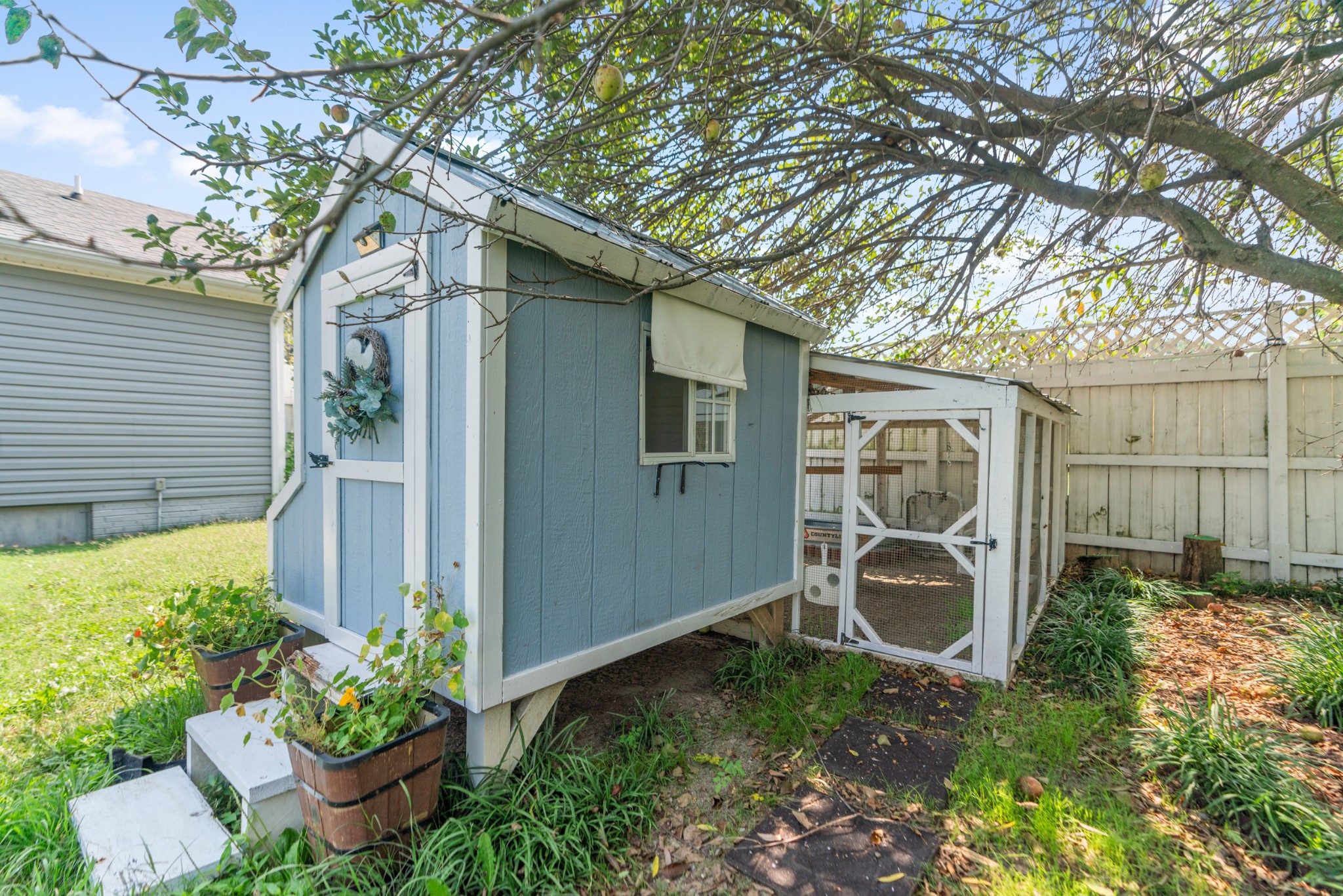 Blue-and-white chicken coop with an attached wire-mesh run beneath a leafy tree.