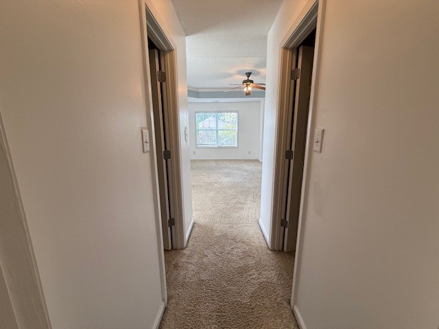 718 Cedar Grove Ct