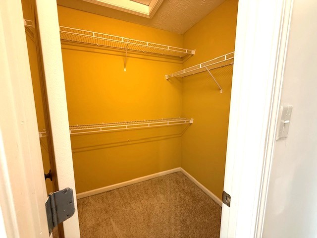 718 Cedar Grove Ct