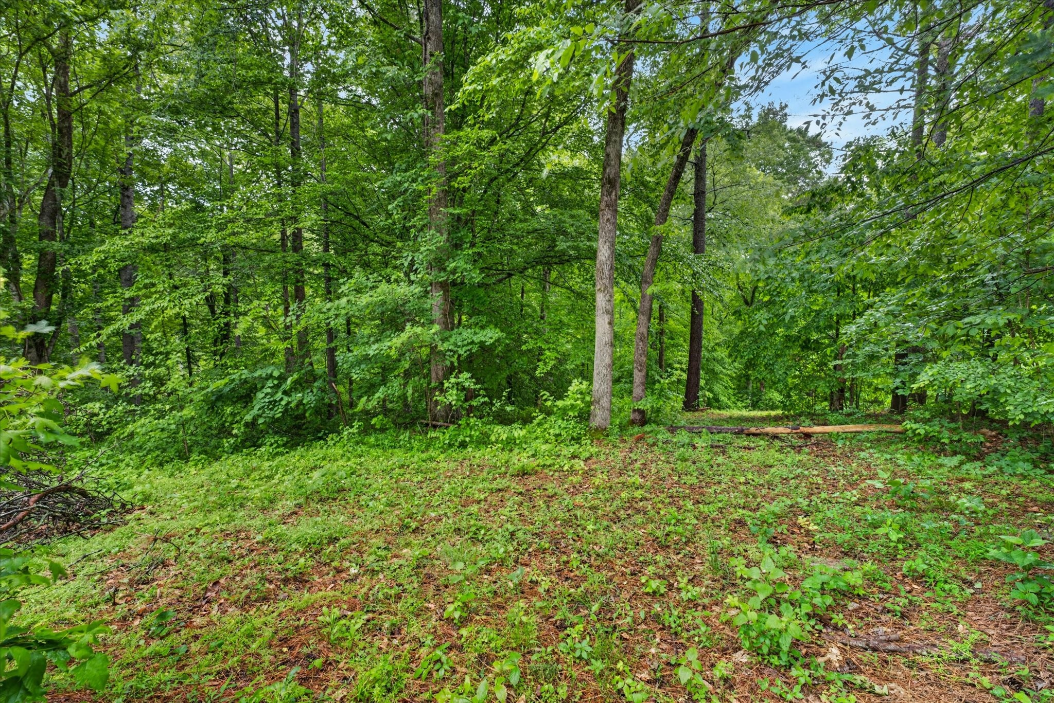 122 Lakeview Rd