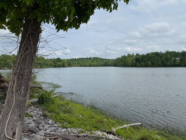 479 Leatherwood Lake Rd