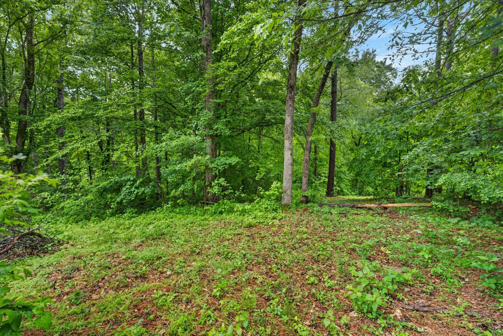 122 Lakeview Rd