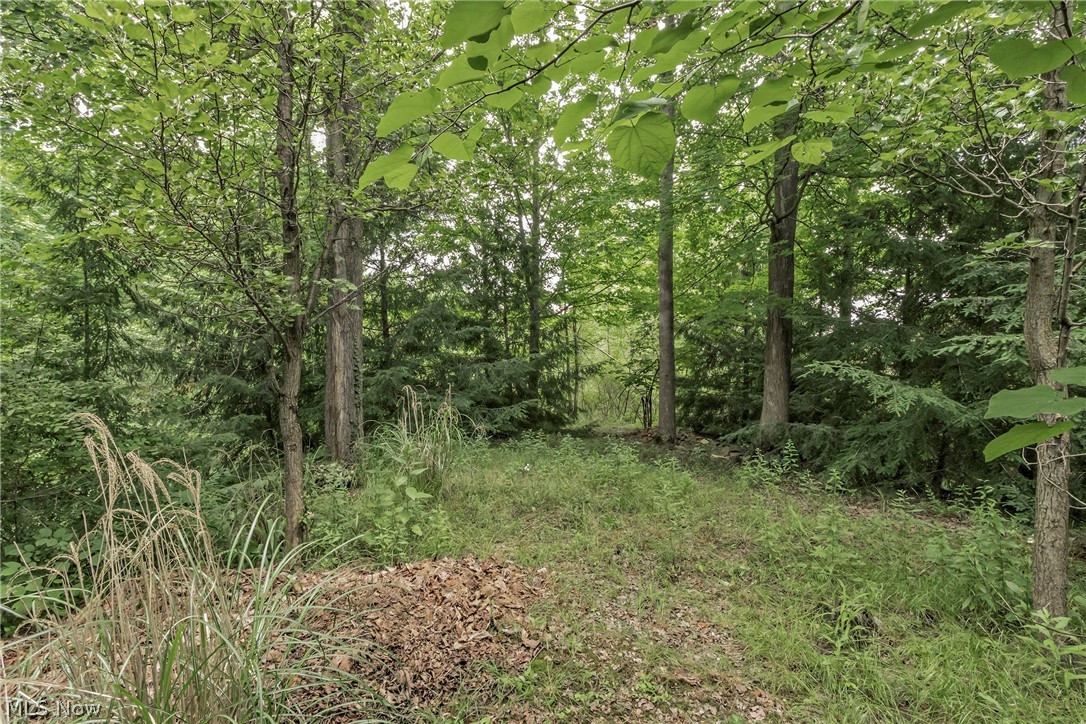 1405 Bell Road