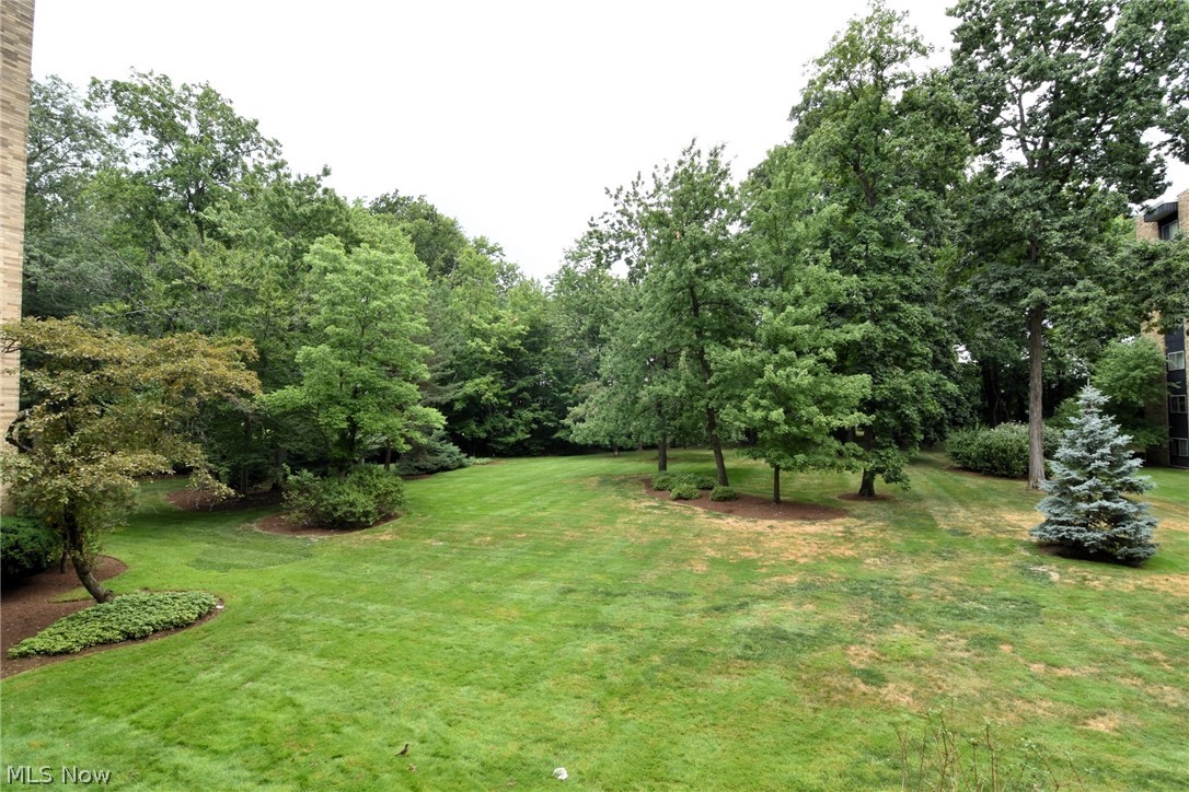 2112 Acacia Park Drive 211