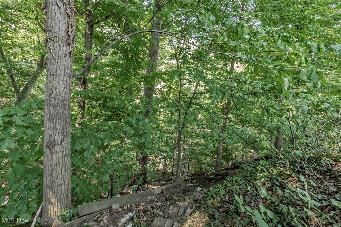 3568 Atherstone Road