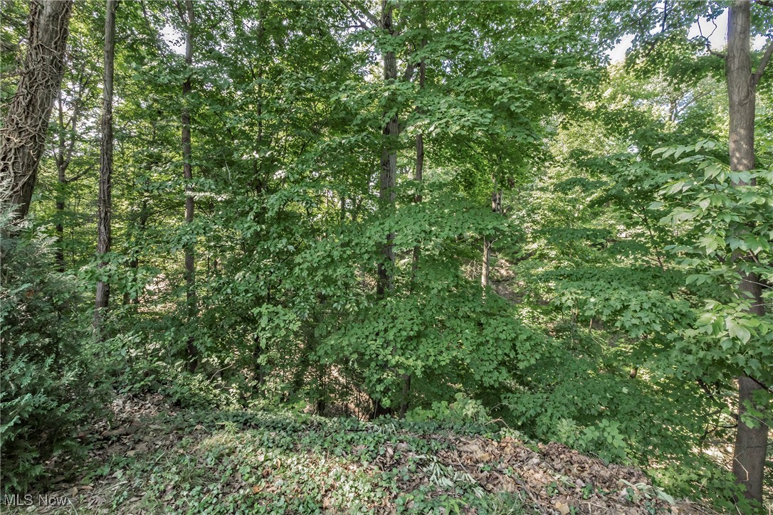 3568 Atherstone Road