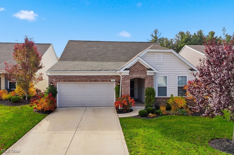 542 Arbor Lane