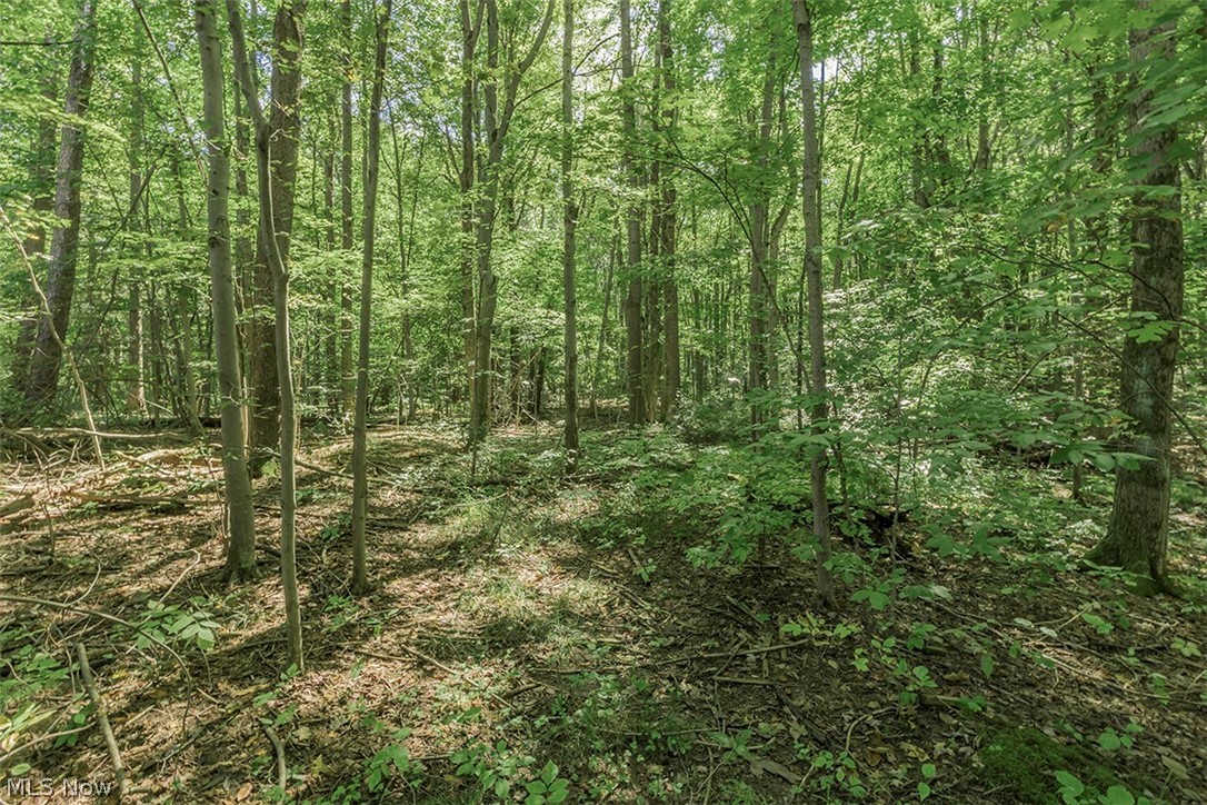 14988 Surrey Downs Drive