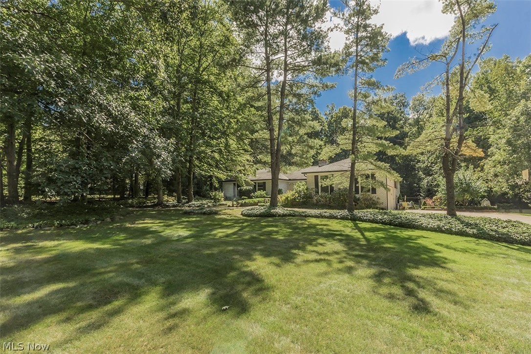 14988 Surrey Downs Drive