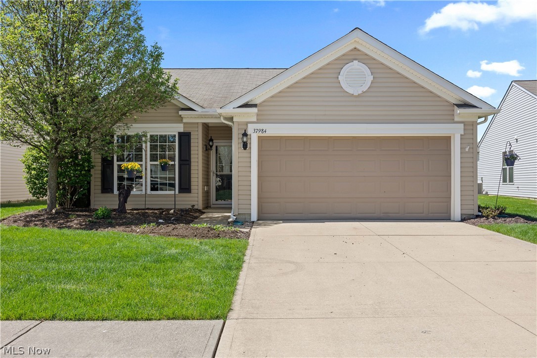 37984 Ashfield Way