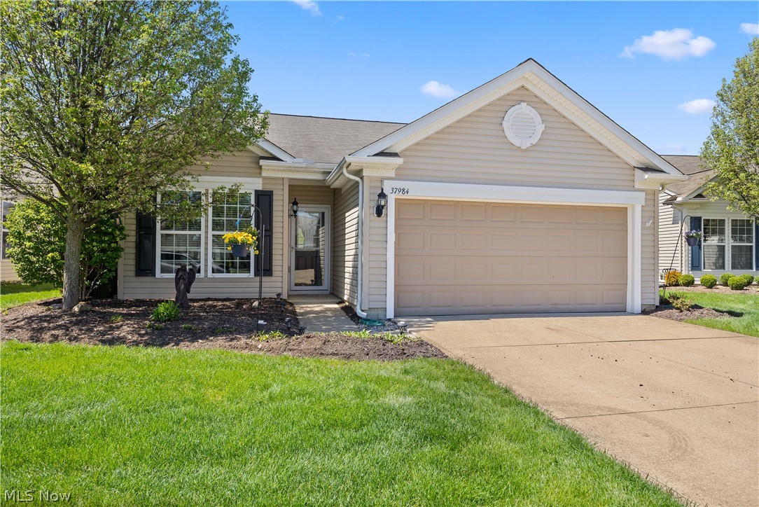 37984 Ashfield Way