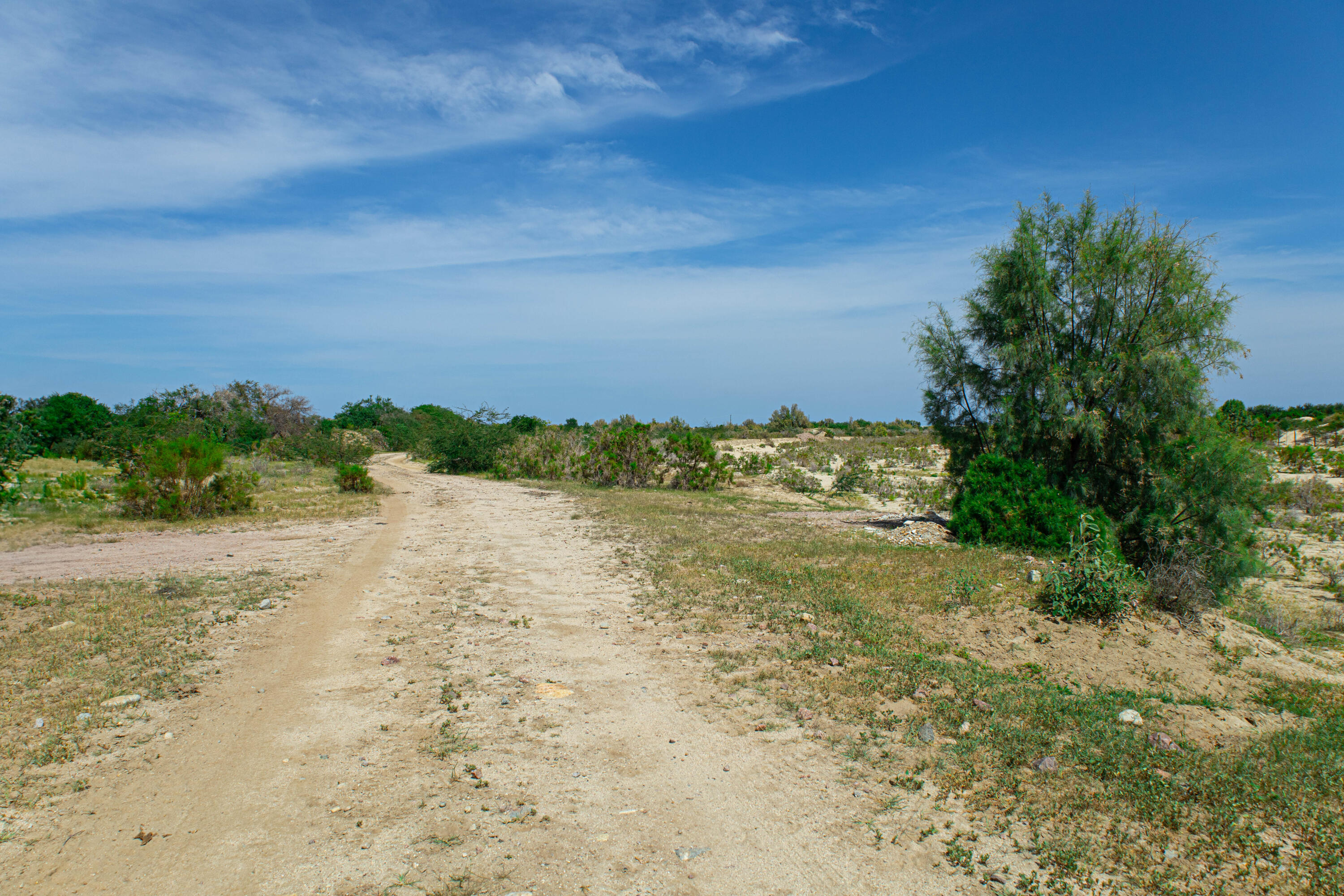 Eureka - Buena Vista, PRIME INVESTMENT La Ribera