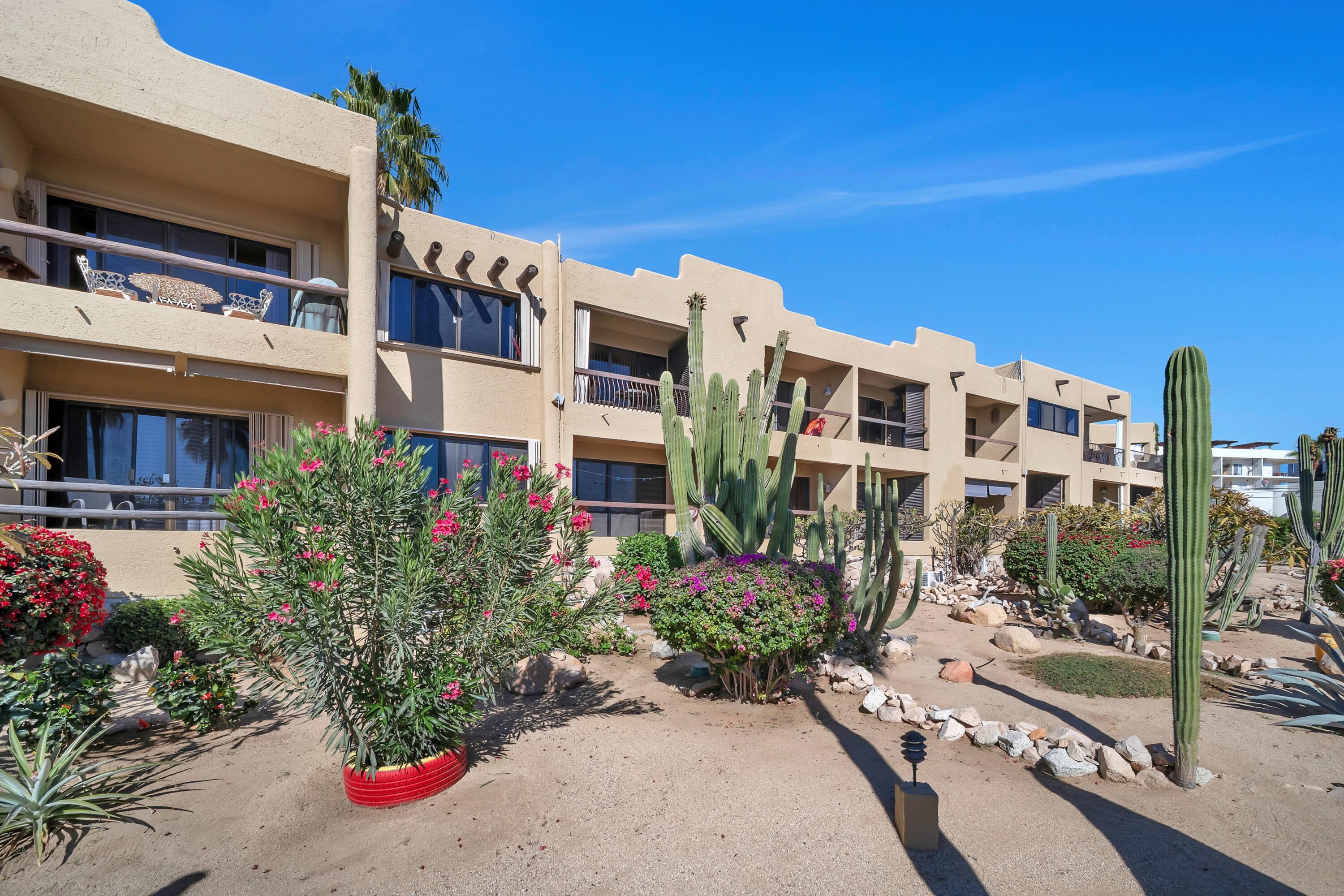 Sin Nombre, Mañana Condo #8