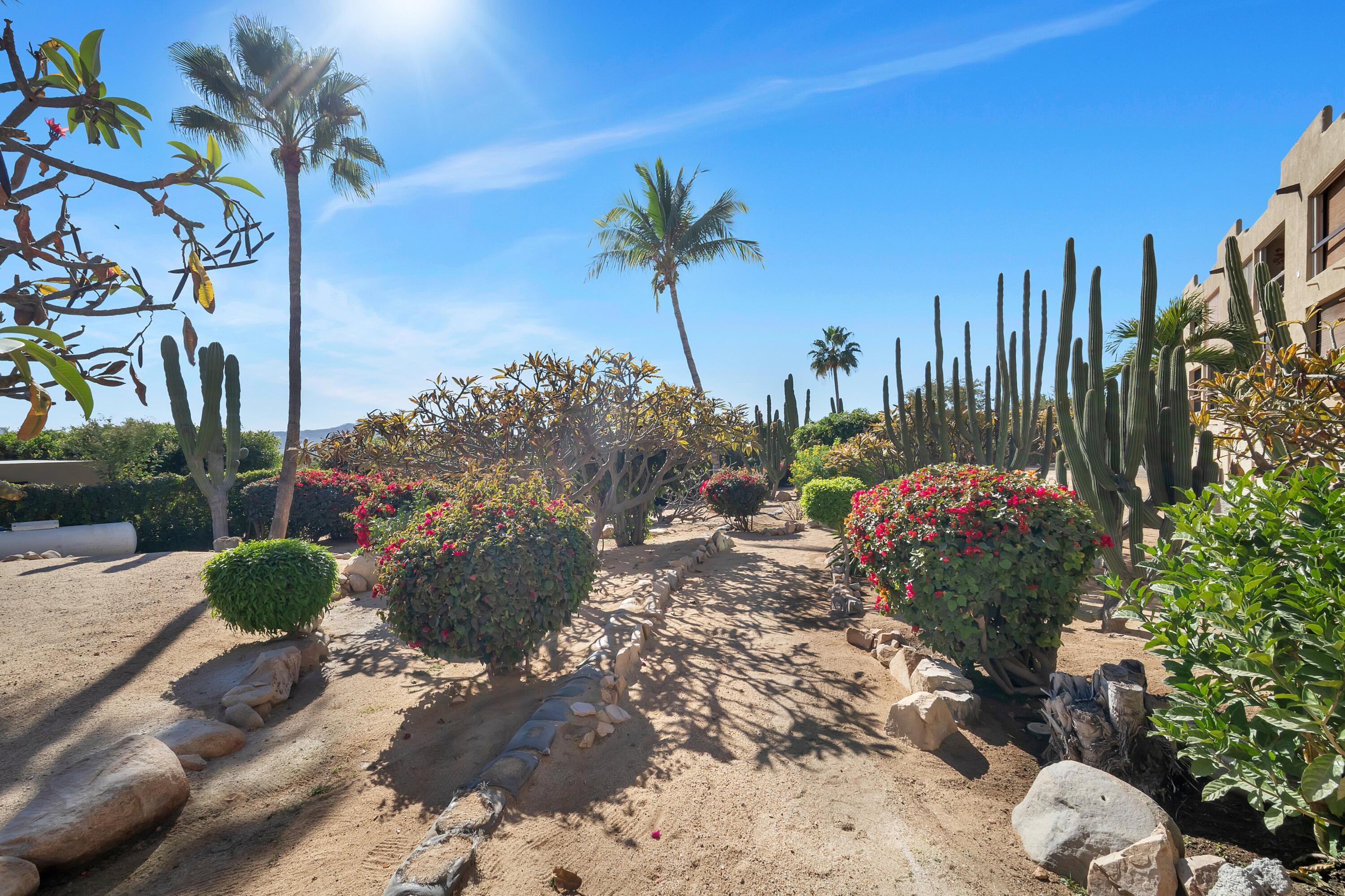 Sin Nombre, Mañana Condo #8