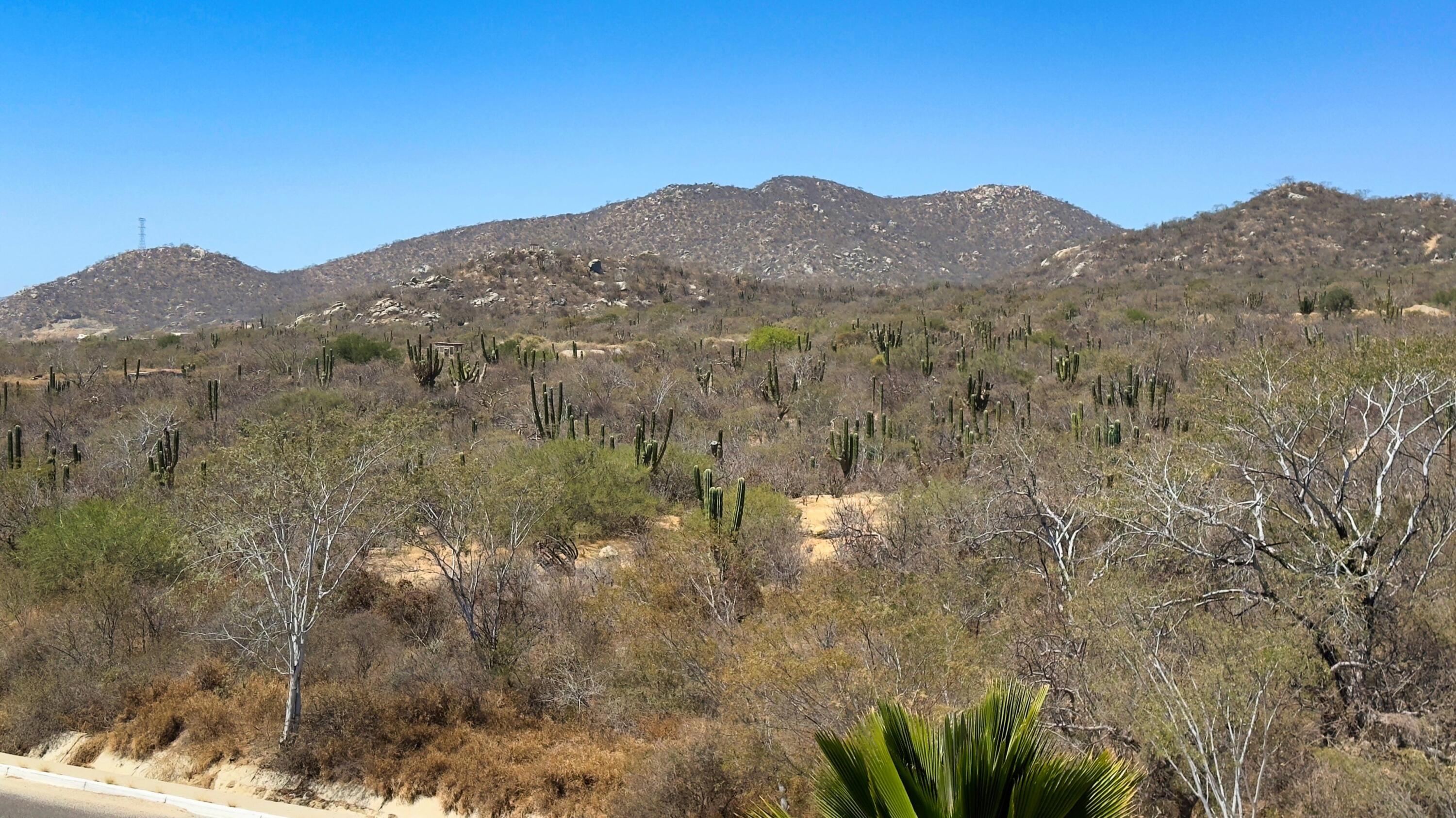 Casa 54 Los Cangrejos, Ventanas Phase 1