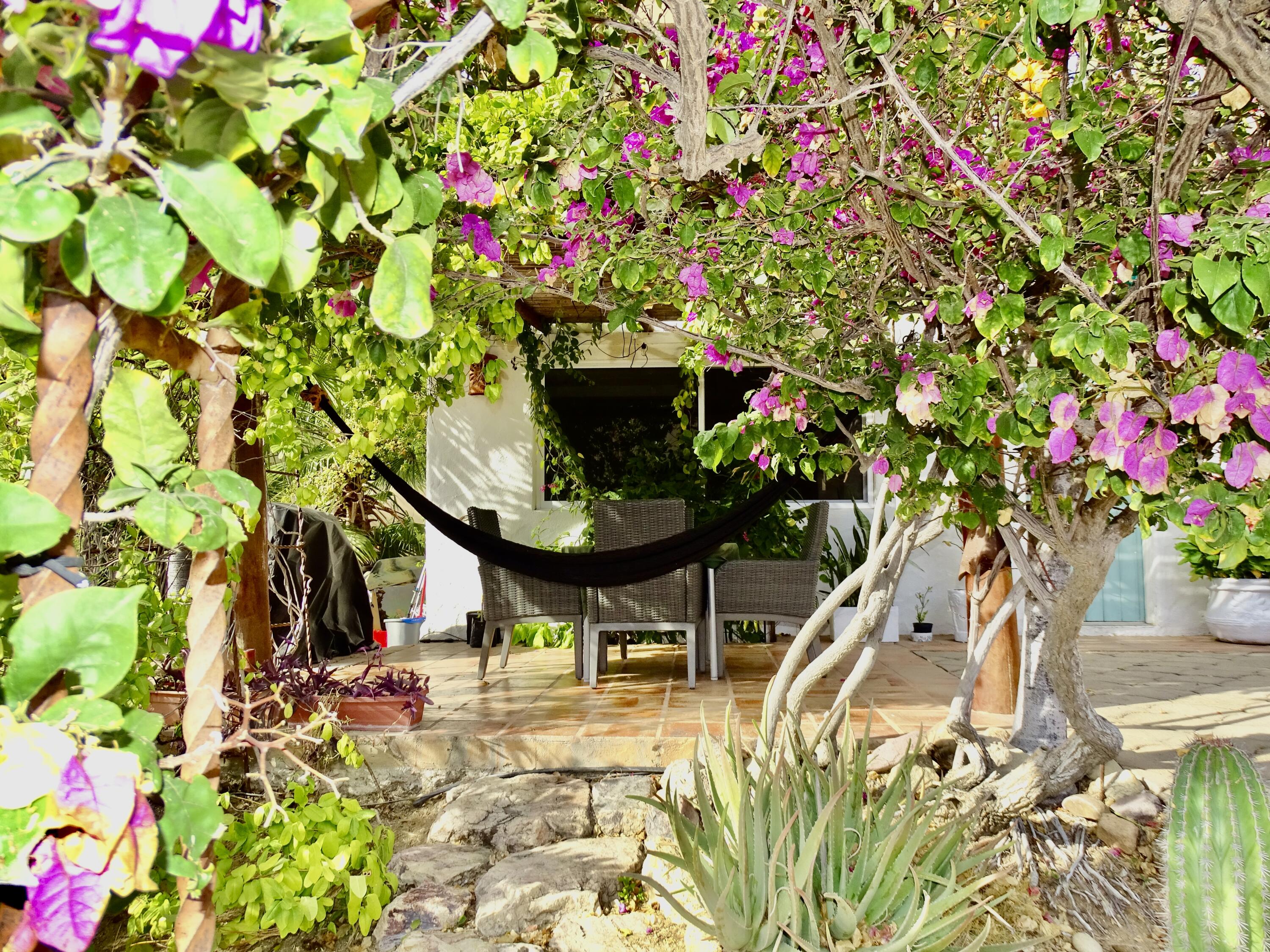 119A Paseo de Los Cabos, Casa Cazadora