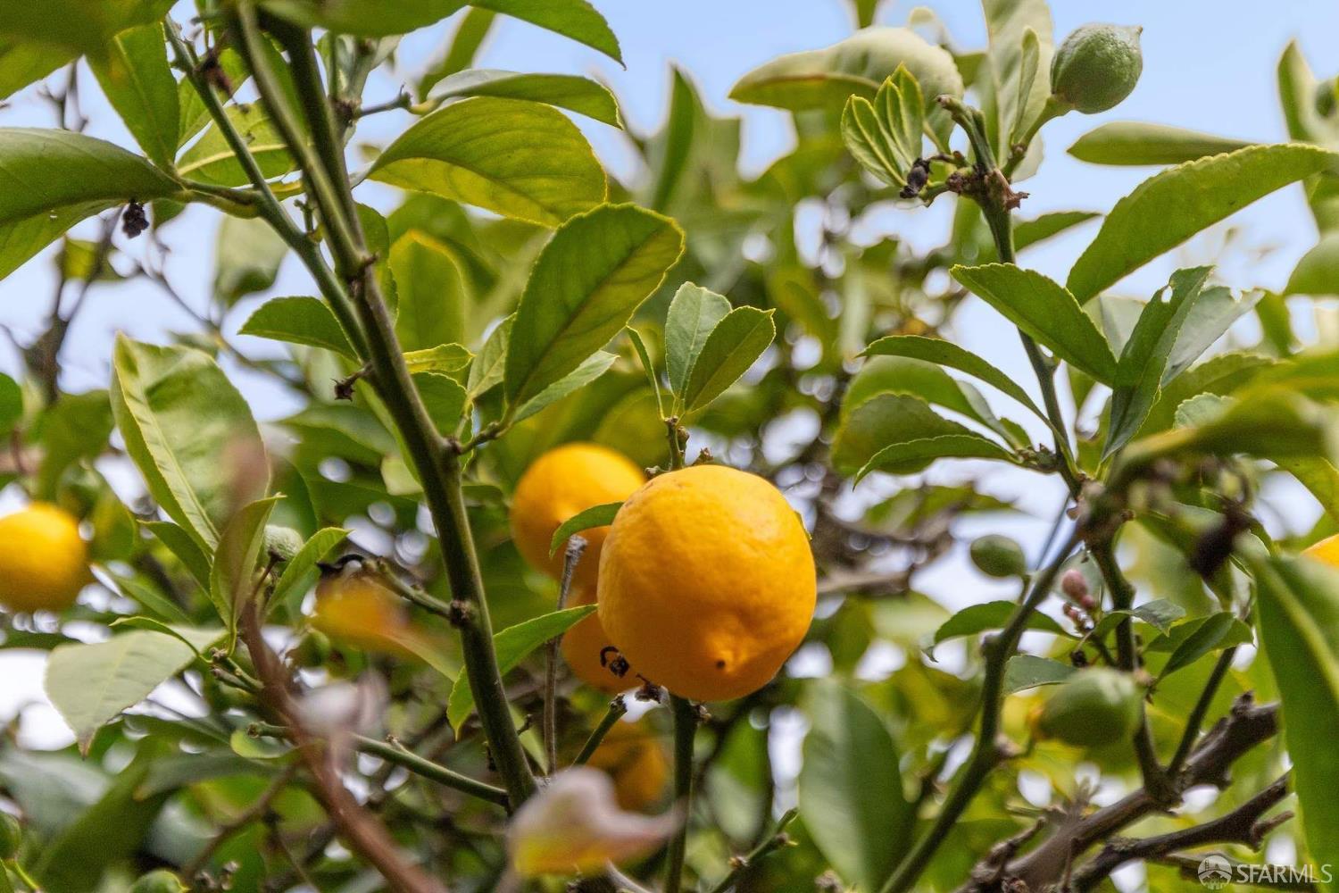 767 Corbett Avenue # 3, San Francisco