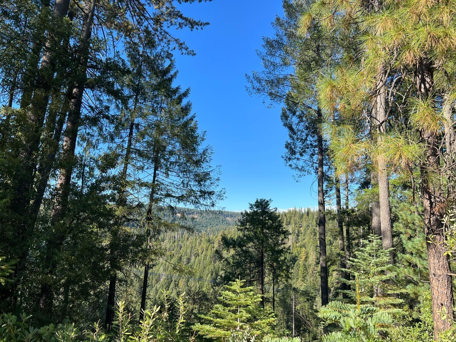 17506 Lowell Hill Rd