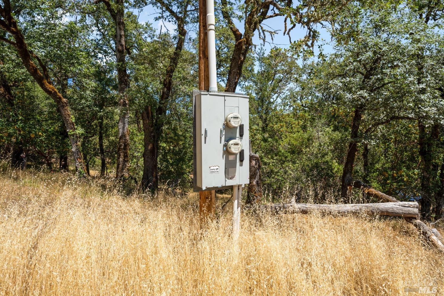 7151 Black Bart Trail