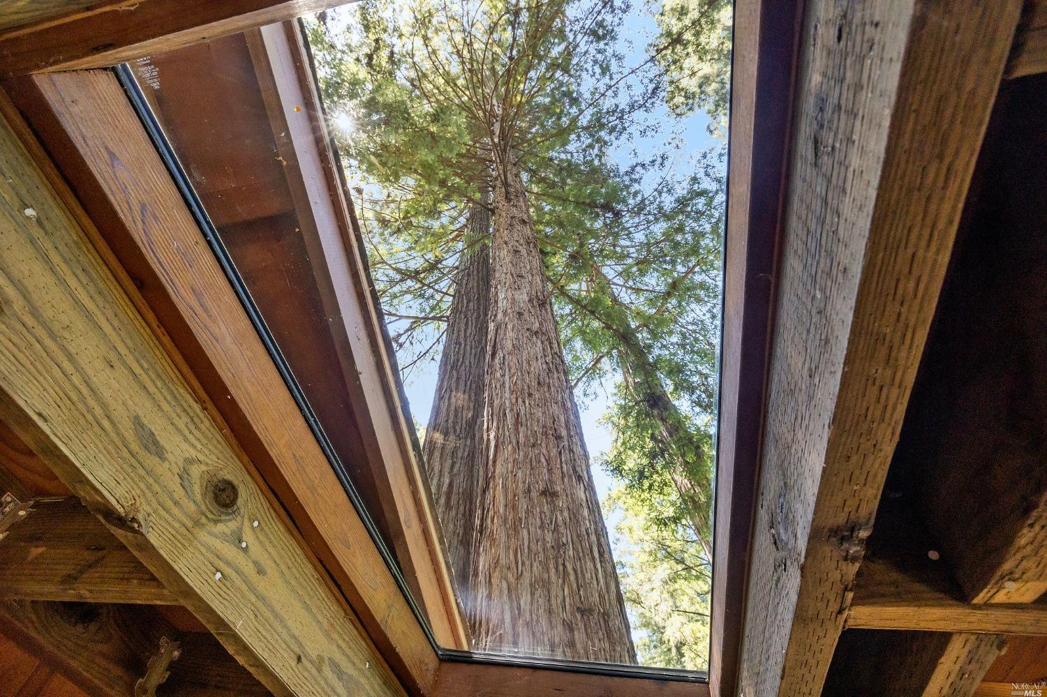 21527 Highland Terrace