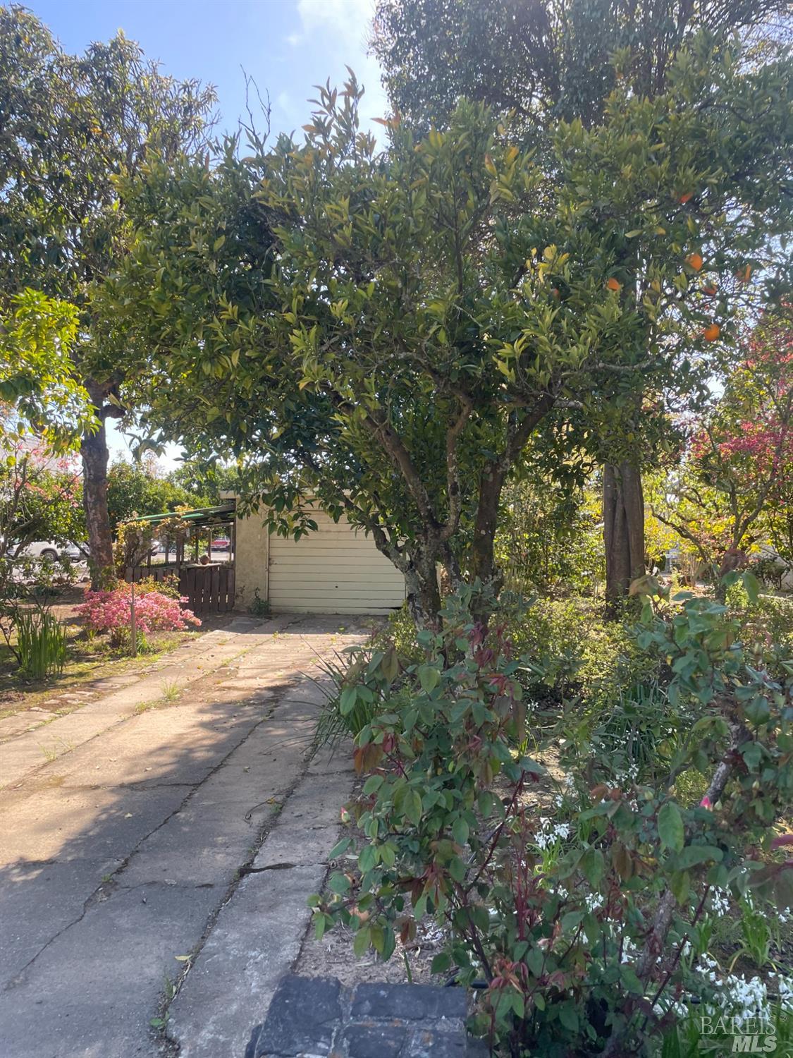 12781 Old Redwood Highway