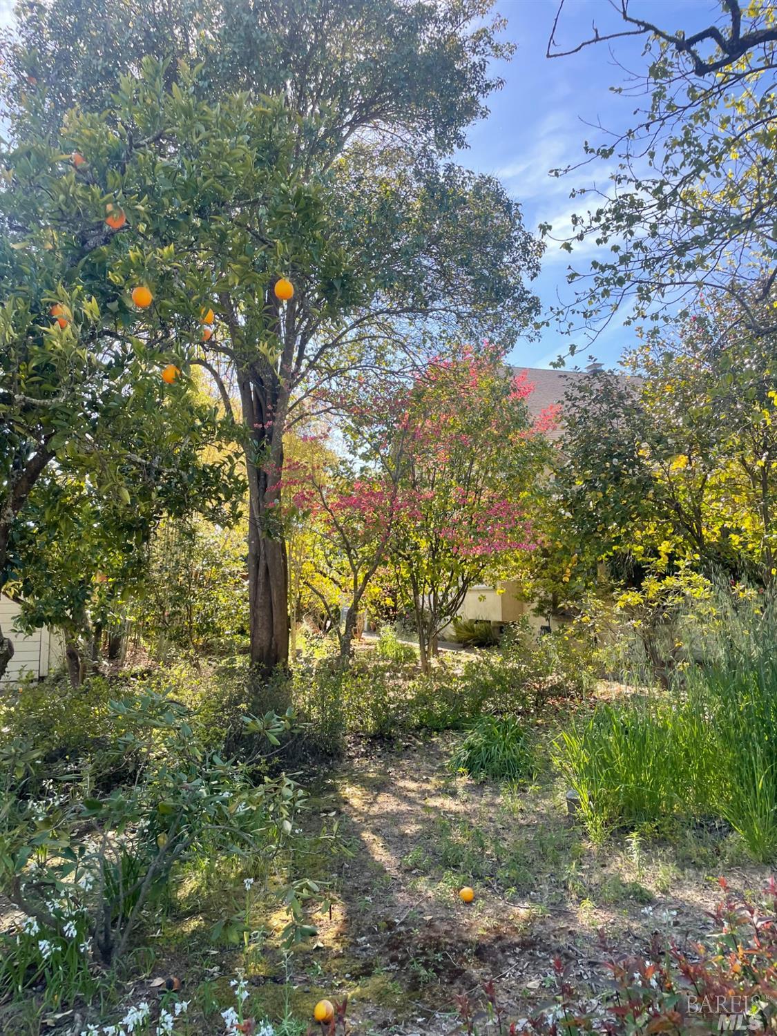 12781 Old Redwood Highway