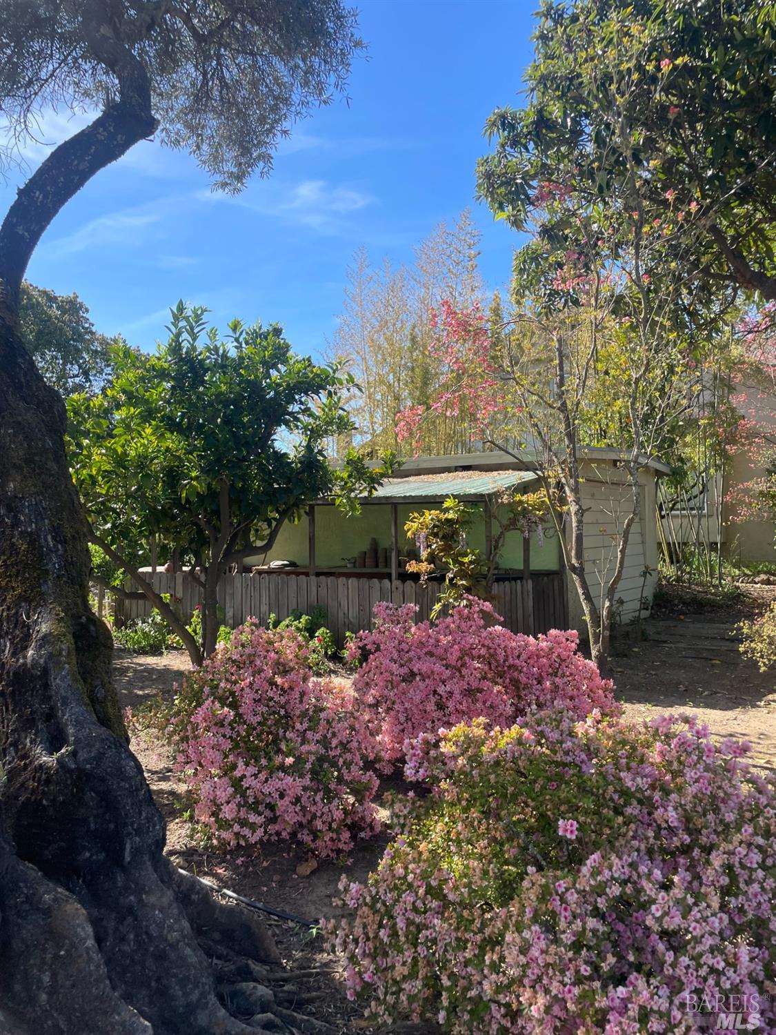 12781 Old Redwood Highway