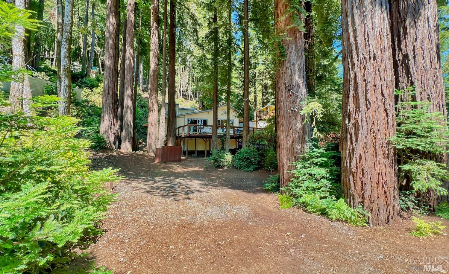 77 Sunrise Mountain Road