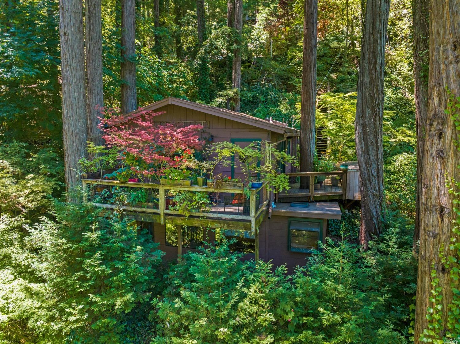 21680 Starrett Hill Drive