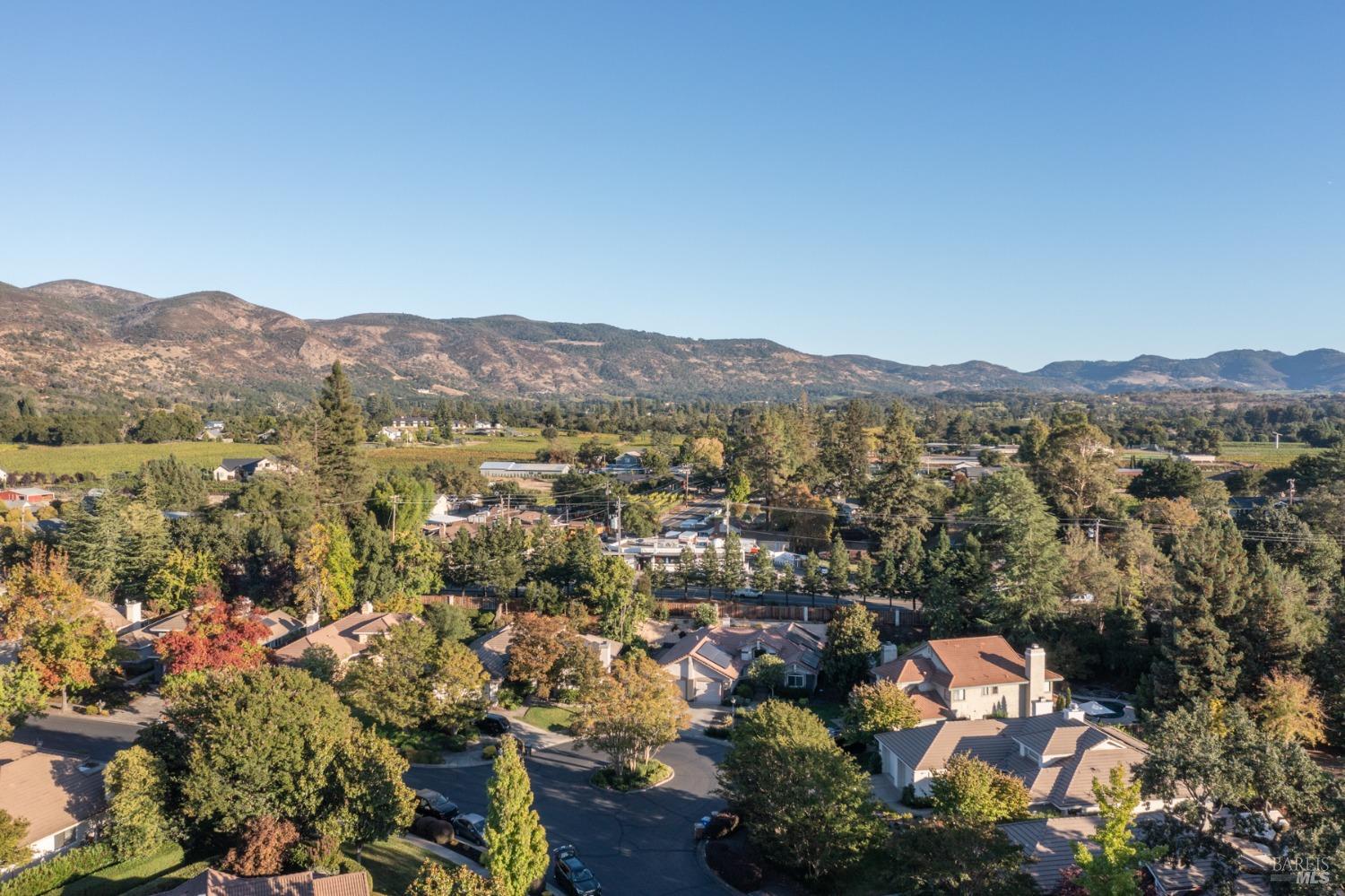 182 Silverado Springs Drive