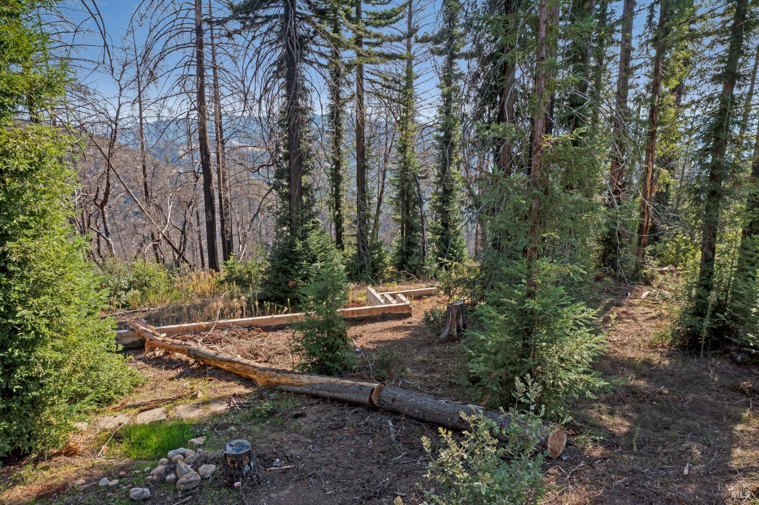 19344 Mccray Ridge Road