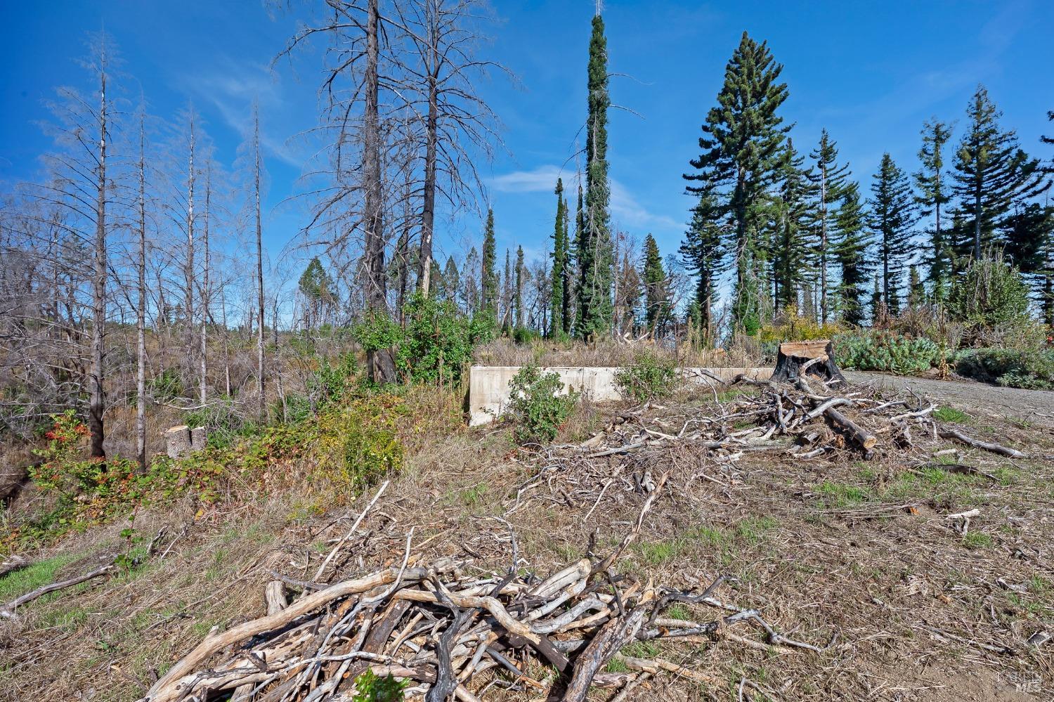 19344 Mccray Ridge Road