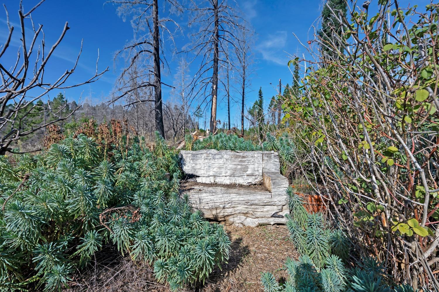 19344 Mccray Ridge Road